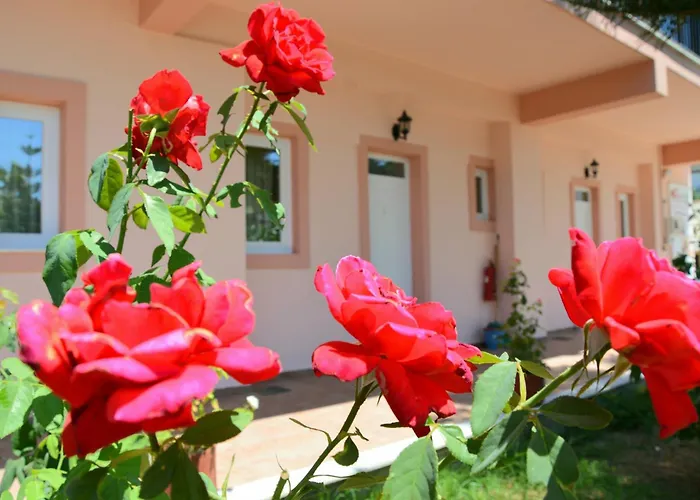 Red Rose Garden *